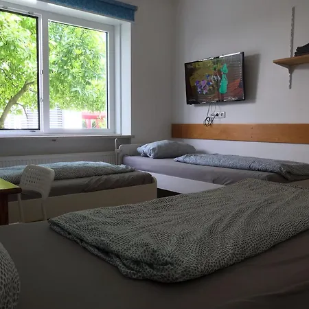 Brahms 25 Ratisbonne